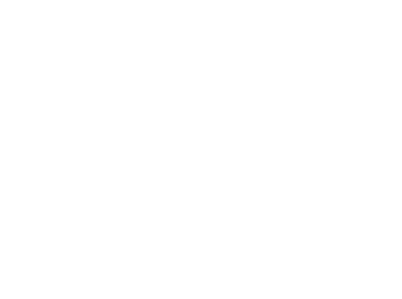 Trägolvsmästarna